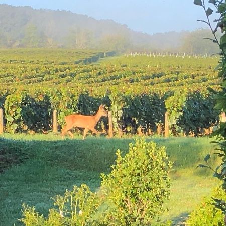 Appartamento Avre De Paix Sancerrois Thauvenay Esterno foto