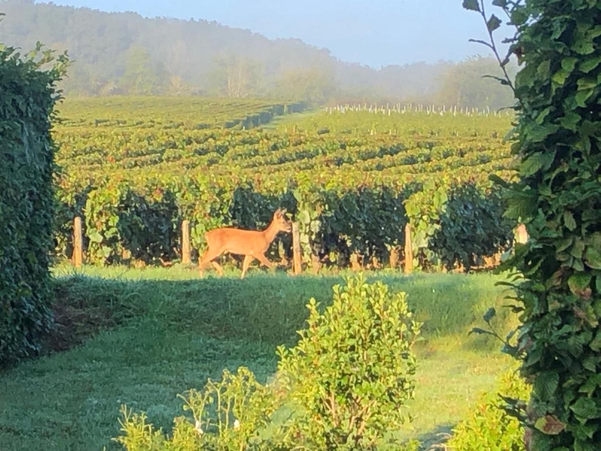 Appartamento Avre De Paix Sancerrois Thauvenay Esterno foto